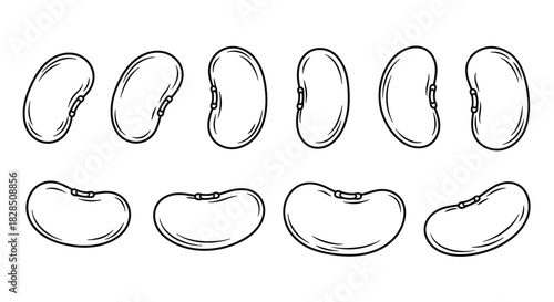 Collection of hand drawn kidney beans and lima beans in sketch style