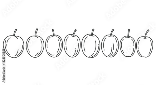 Row of hand drawn plum outlines with stems on a white background