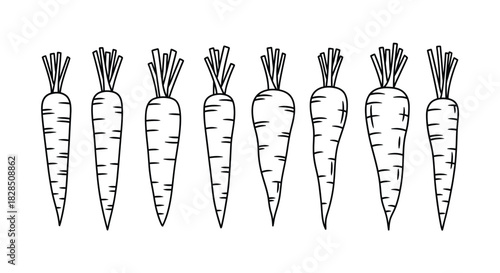 Row of hand drawn carrots with green tops in black and white sketch style