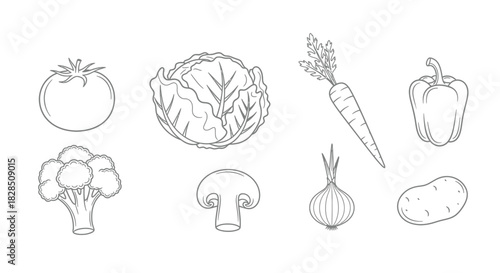 Hand drawn sketch of various fresh vegetables on a white background