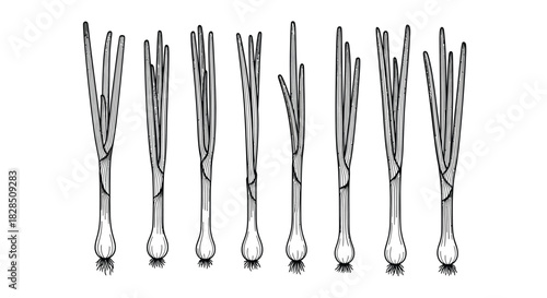 Row of clear glass icicles with twisted stems and crystal tips