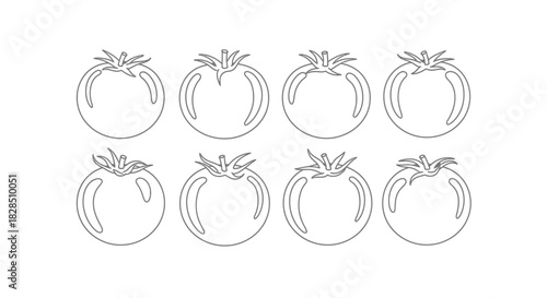 Collection of hand drawn line art tomatoes in a grid pattern