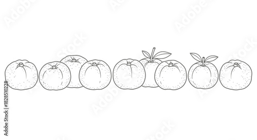 Hand drawn sketch of a variety of citrus fruits in a row