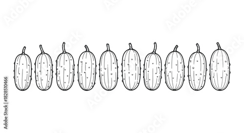 Row of hand drawn black and white cucumbers on white background