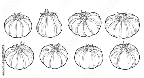 Collection of hand drawn pumpkins and gourds in black and white outline
