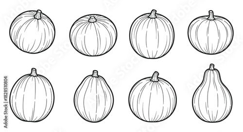 Collection of hand drawn squash and gourd varieties in sketch style