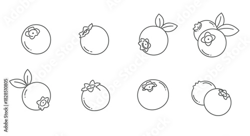 Collection of hand drawn blueberry illustrations with leaves