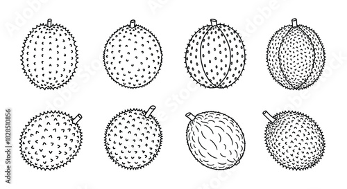 Collection of hand drawn soursop fruits in sketch style