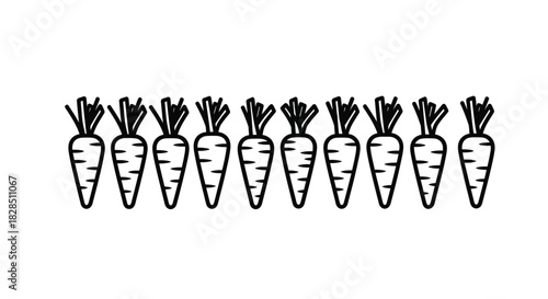 Hand drawn illustration of a row of carrots on a white background