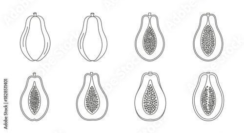 Hand drawn papaya fruit set whole and halved illustrations