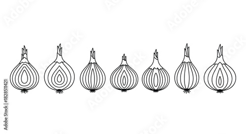 Line art illustration of seven different shaped onions in a row