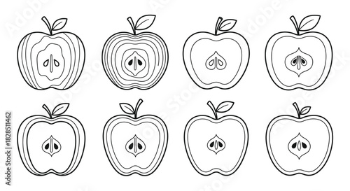 Collection of hand drawn apple halves with seeds and stems