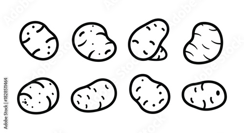 Set of eight hand drawn potato illustrations in a simple line art style