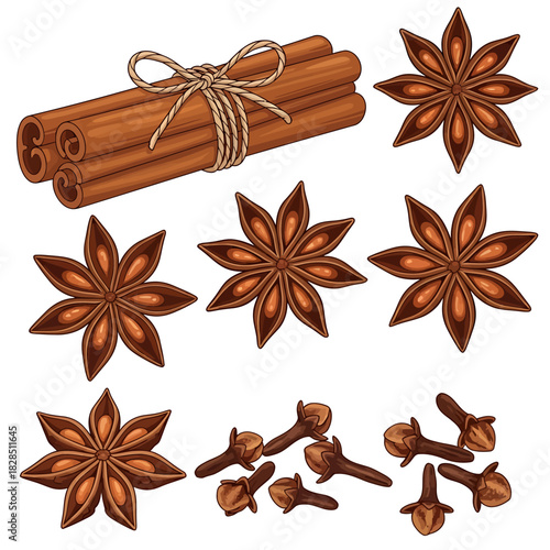Flavorful winter spice collection with cinnamon sticks, star anise, and cloves for seasonal cooking, vector illustration