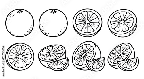 Hand drawn illustration of whole and sliced oranges in black and white