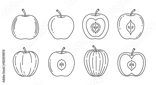 Hand drawn outline illustrations of whole and halved apples