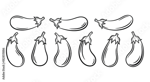 Hand drawn sketch of multiple eggplants in various poses and styles