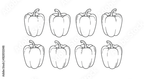 Collection of hand drawn bell pepper outlines in black and white