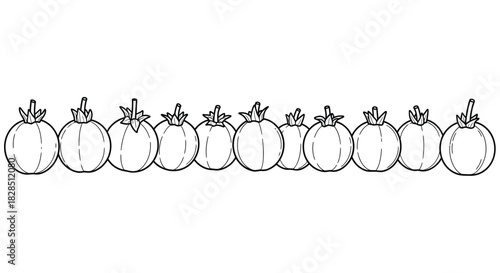 Hand drawn line of ripe tomatoes in a row black and white illustration