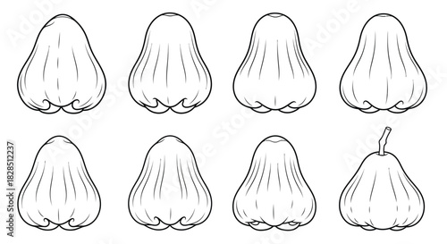 Set of eight hand drawn illustrations of rose apples in a sketch style