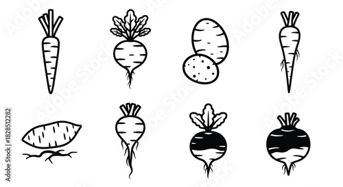 Hand drawn set of root vegetables and potatoes isolated on white background