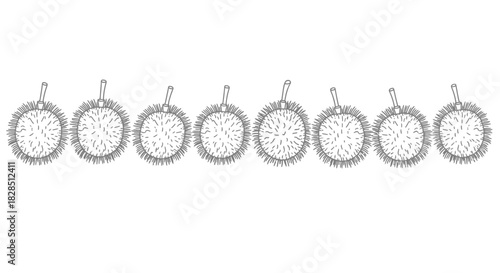 Collection of ornate oval framed antique botanical illustrations in a row