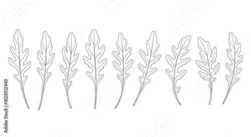 Adobe Illustrator Artwork