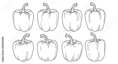 Hand drawn sketch of eight bell peppers in a grid pattern