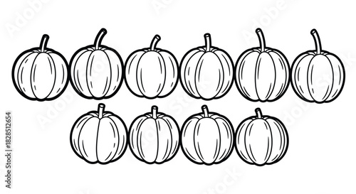 Hand drawn line art illustration of pumpkins in two rows