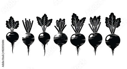 Black and white illustration of fresh root vegetables with green leaves