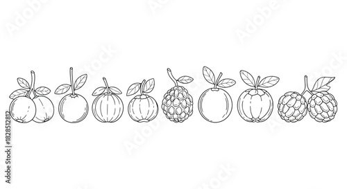 Line art illustration of various fruits and vegetables in a row