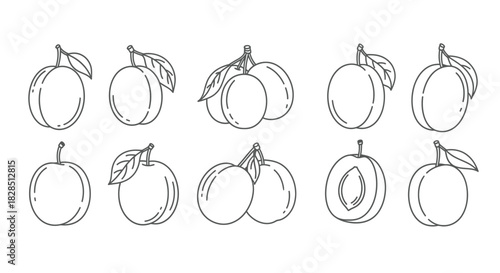 Collection of hand drawn plum illustrations with leaves and halved fruit