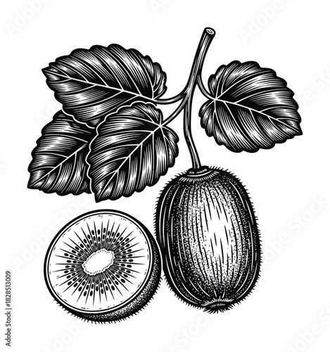 Spiked wooden x illustration grunge cross beams graphic design art eps silhouette