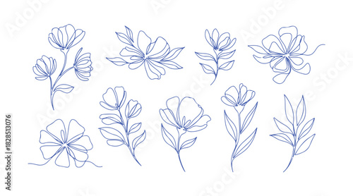 A set of abstract floral and branch illustrations made with a single line. Floral sketch. Ongoing line drawing of botanical art. Decorative elements for invitations and certificate designs. Vector 