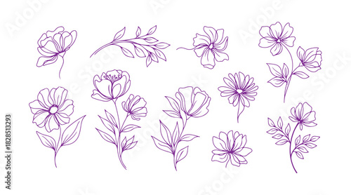 An assortment of abstract flowers and branch plants depicted in a single line. Floral sketch. Continuous line botanical art. Decorative elements for card invitations and certificate layouts. Vector