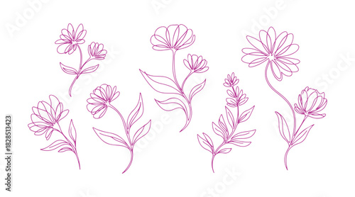 abstract floral and branch designs created with one continuous line. Floral sketch. Ongoing line drawing of botanical art. Decorative features for invitation cards and certificate designs. Vector