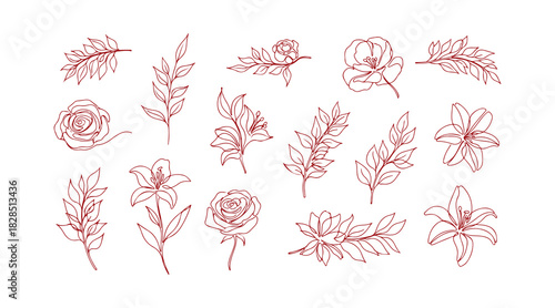 A collection of abstract flowers and branch plants illustrated with a single line. Floral sketch. Continuous line drawing of botanical art. Vector illustration.