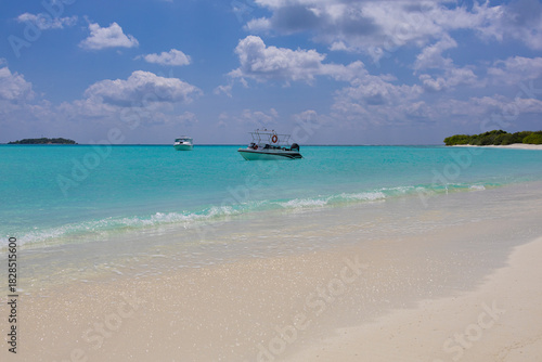 Fototapeta Naklejka Na Ścianę i Meble -  Yacht in Indian ocean near sand beach with green plants in Maldives