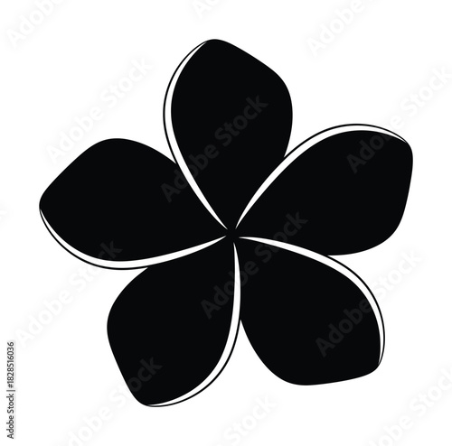 Black and white frangipani flower vector illustration clip art design eps silhouette