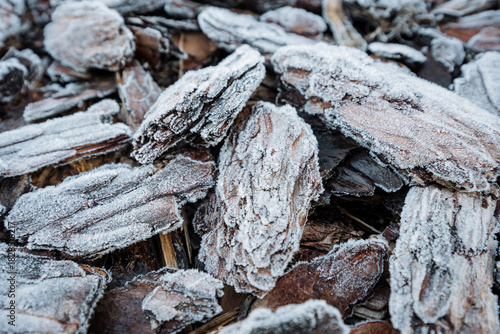 detailed image of frosted bark chips showing textured ice formations and natural brown hues