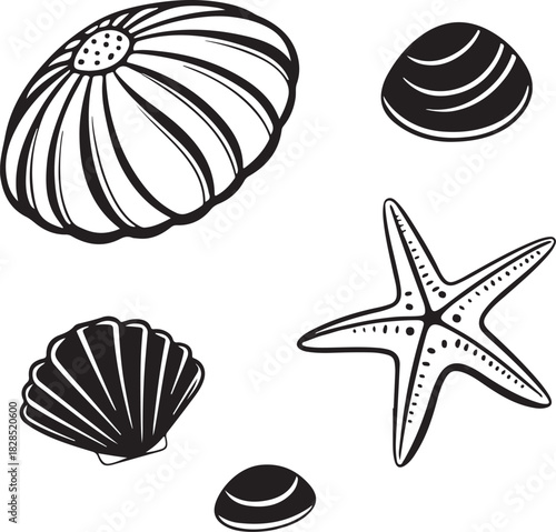 Seamless vector pattern set of marine seashells, starfish, and snail shells illustration