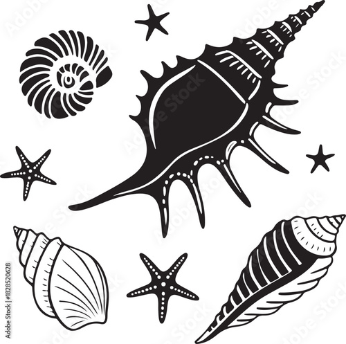 Vector illustration set of sea shells, starfish, and other ocean animals in sketch art black silhouette icon design