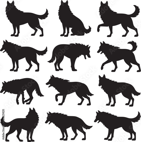 Wild wolf animal silhouette collection set of black predatory dogs walking standing and sitting isolated icon symbol