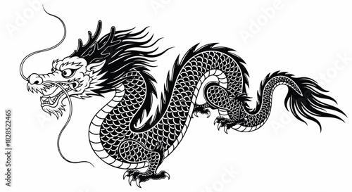 Black and white Chinese dragon vector illustration featuring a magnificent scaled body and long flowing whiskers, a traditional mythology symbol isolated on a pure white background.