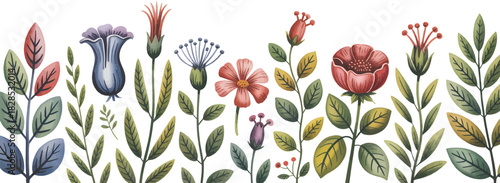 With Watercolor Botanical Border Accuracy Illustration Scientific Detailed