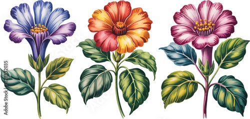 With Artistic Flair Illustration Detailed Watercolor Botanical Scientific Accuracy
