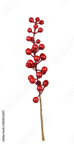Artificial twig with red be...