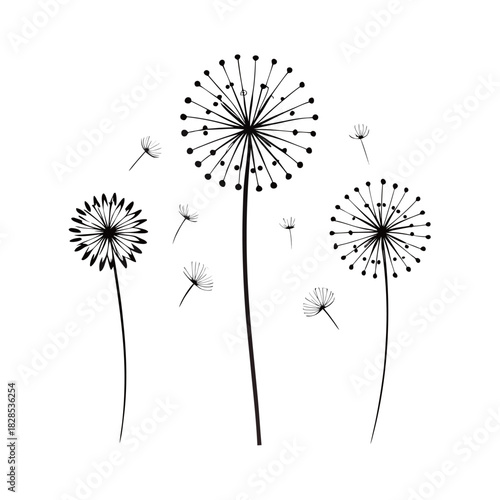 Black and white illustration of dandelion seed heads blowing in the wind