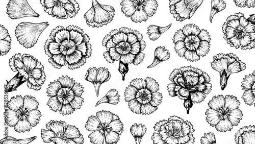 Wooden Engraving Carnation in White Background