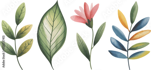 Colors Flower Individual Combinations Complementary Watercolor With Leaf